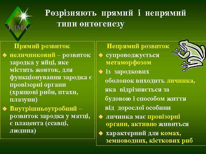    Розрізняють прямий і непрямий ТДМА   типи онтогенезу  Прямий