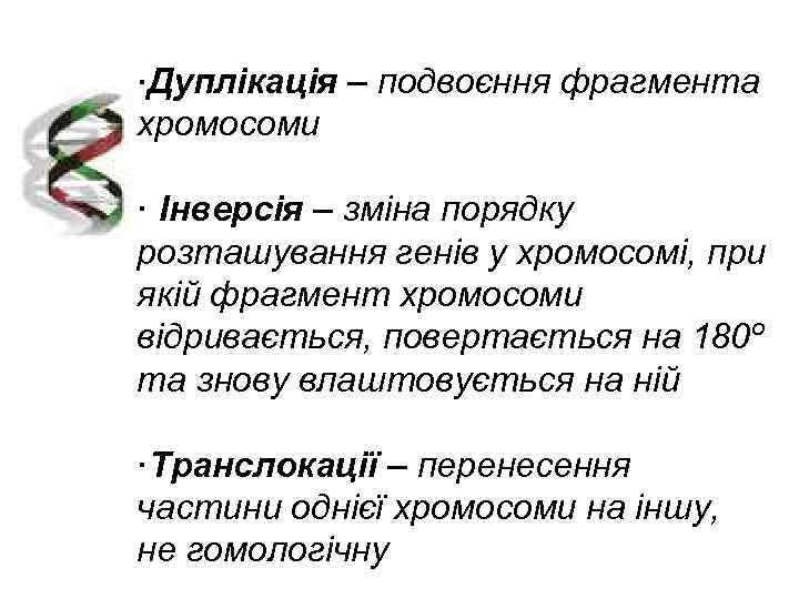 ·Дуплікація – подвоєння фрагмента хромосоми · Інверсія – зміна порядку розташування генів у хромосомі,