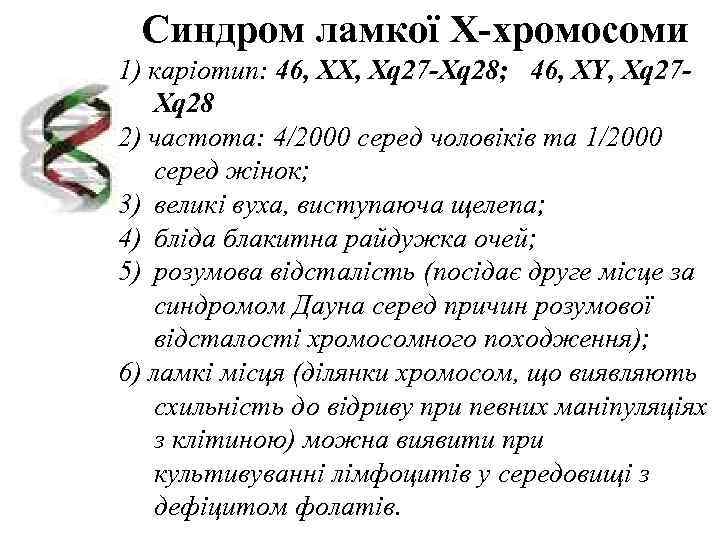  Синдром ламкої Х-хромосоми 1) каріотип: 46, XX, Хq 27 -Xq 28; 46, XY,