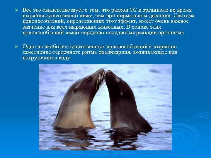 Ø  Все это свидетельствует о том, что расход О 2 в организме во