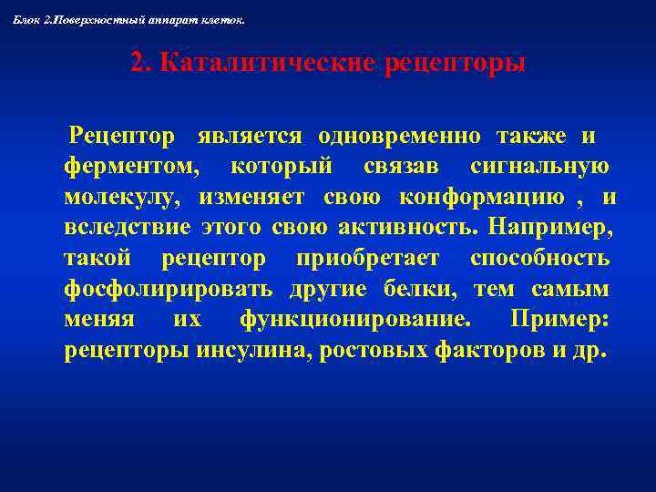 Блок 2. Поверхностный аппарат клеток.     2. Каталитические рецепторы  