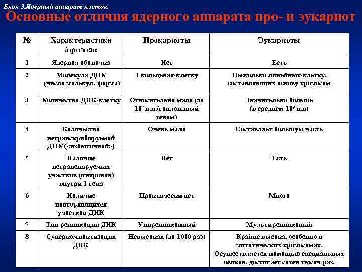 Блок 3. Ядерный аппарат клеток. Основные отличия ядерного аппарата про- и эукариот № 