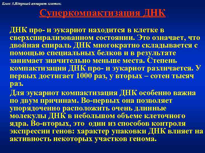 Блок 3. Ядерный аппарат клеток.     Суперкомпактизация ДНК про- и эукариот