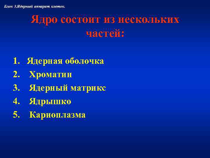 Блок 3. Ядерный аппарат клеток.   Ядро состоит из нескольких   