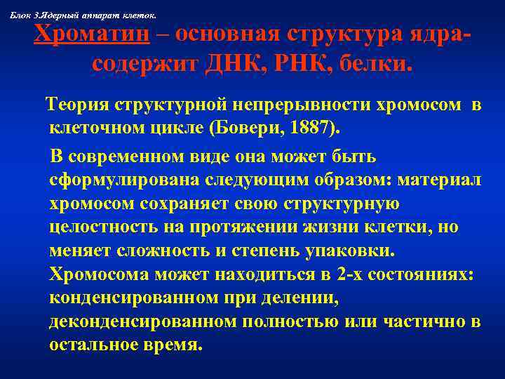 Блок 3. Ядерный аппарат клеток.  Хроматин – основная структура ядра-   содержит