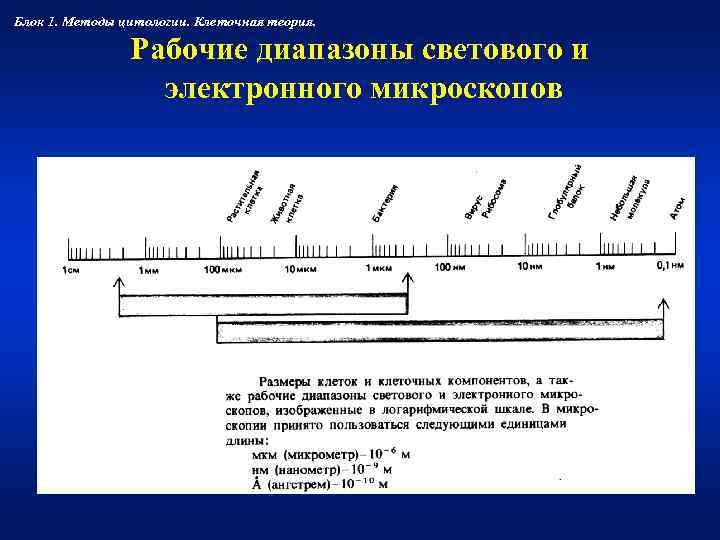 Блок 1. Методы цитологии. Клеточная теория.    Рабочие диапазоны светового и 
