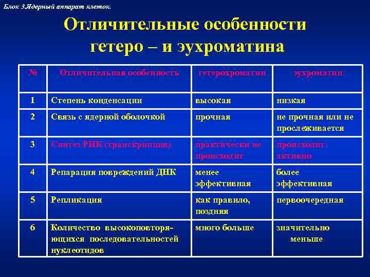 Блок 3. Ядерный аппарат клеток.    Отличительные особенности    гетеро