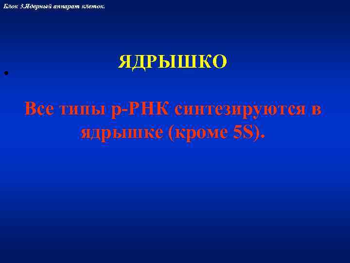 Блок 3. Ядерный аппарат клеток.    ЯДРЫШКО •  Все типы р-РНК