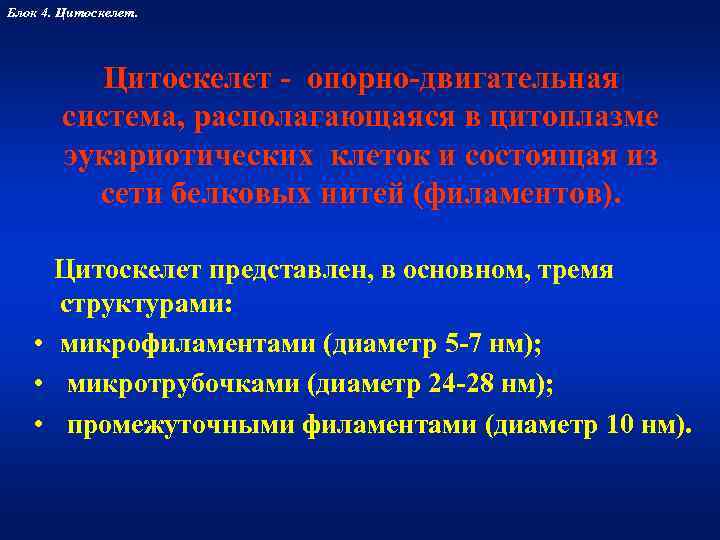 Блок 4. Цитоскелет.    Цитоскелет - опорно-двигательная  система, располагающаяся в цитоплазме
