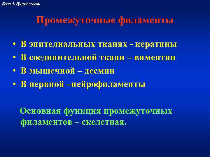 Блок 4. Цитоскелет.     Промежуточные филаменты  •  В эпителиальных