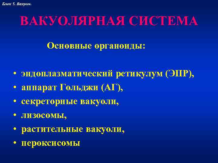 Блок 5. Вакуом.   ВАКУОЛЯРНАЯ СИСТЕМА    Основные органоиды:  