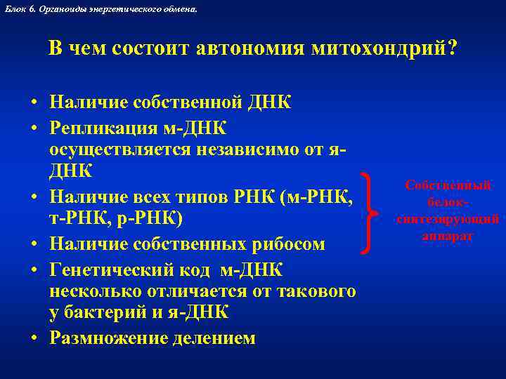 Блок 6. Органоиды энергетического обмена.   В чем состоит автономия митохондрий?  