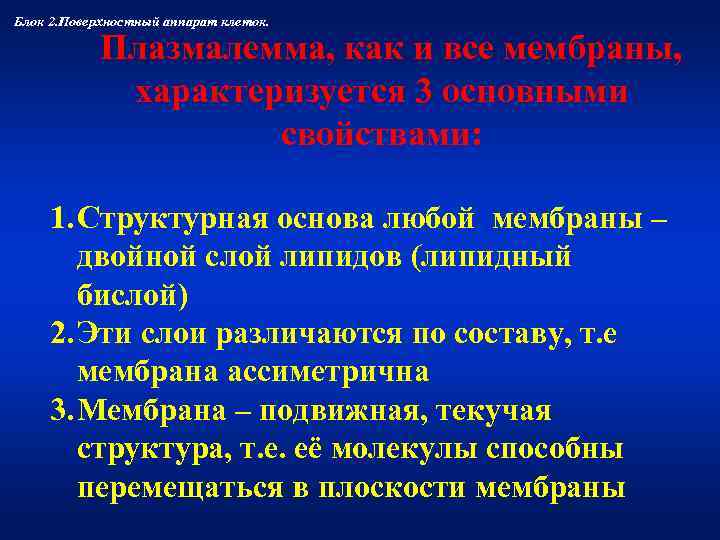 Блок 2. Поверхностный аппарат клеток.    Плазмалемма, как и все мембраны, 