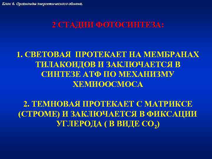 Блок 6. Органоиды энергетического обмена.      2 СТАДИИ ФОТОСИНТЕЗА: 