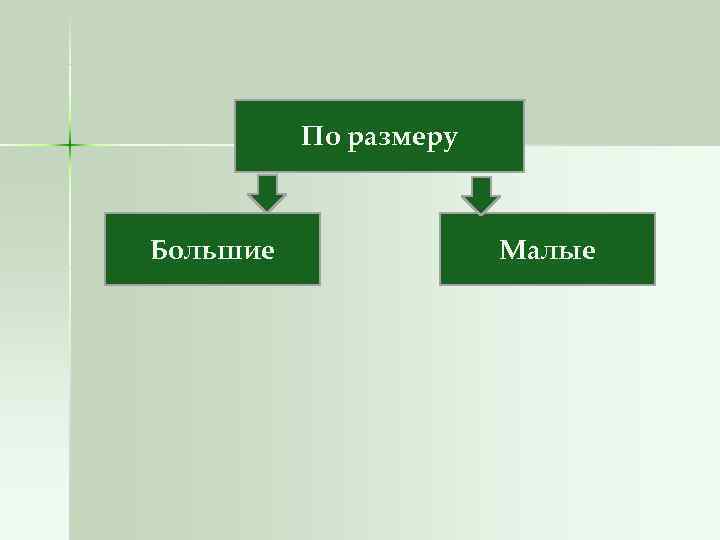 По размеру Большие Малые По размеру Большие Малые