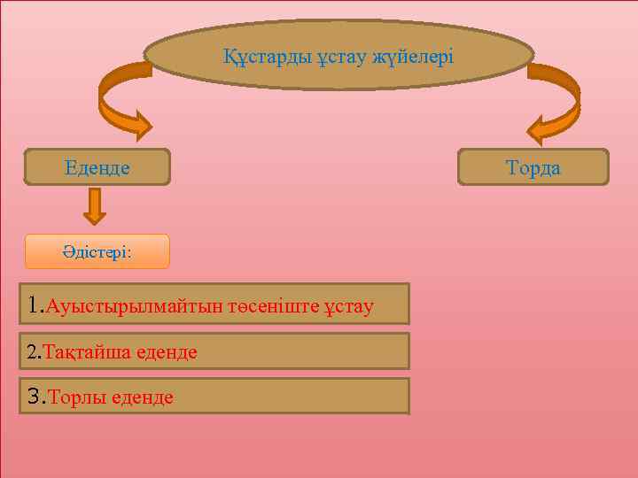     Құстарды ұстау жүйелері  Еденде     