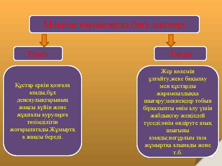    Мекиен тауықтарды бағу әдістері  Еркін     Торда