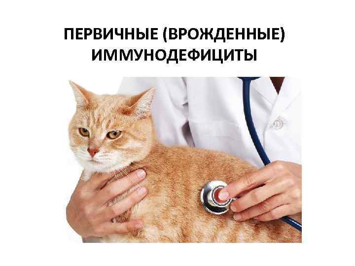 ПЕРВИЧНЫЕ (ВРОЖДЕННЫЕ)  ИММУНОДЕФИЦИТЫ 