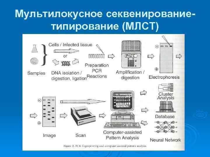 Типирование по картинкам