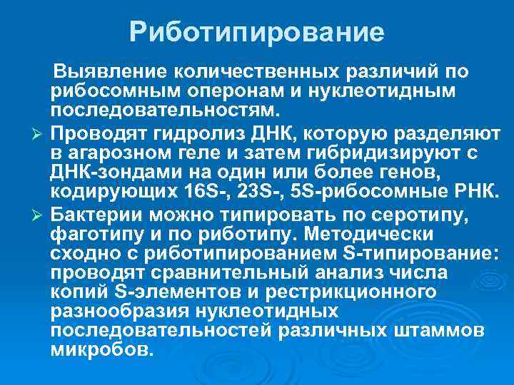    Риботипирование Выявление количественных различий по рибосомным оперонам и нуклеотидным последовательностям. 