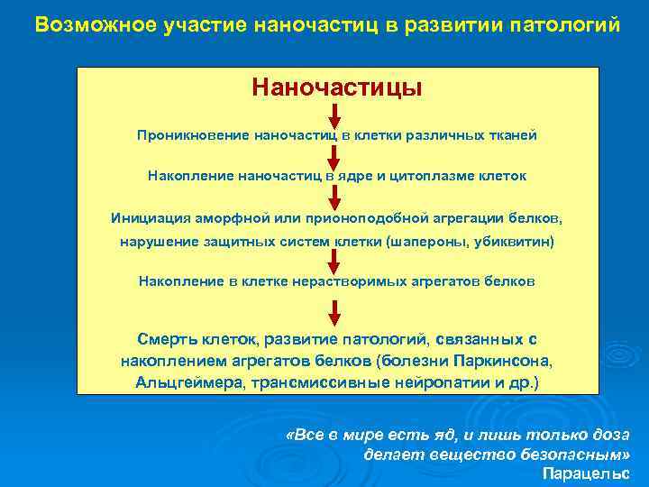Возможное участие наночастиц в развитии патологий     Наночастицы   Проникновение