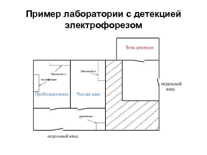 Схема пцр лаборатории