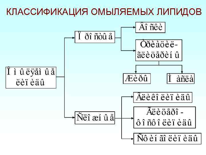 КЛАССИФИКАЦИЯ ОМЫЛЯЕМЫХ ЛИПИДОВ 