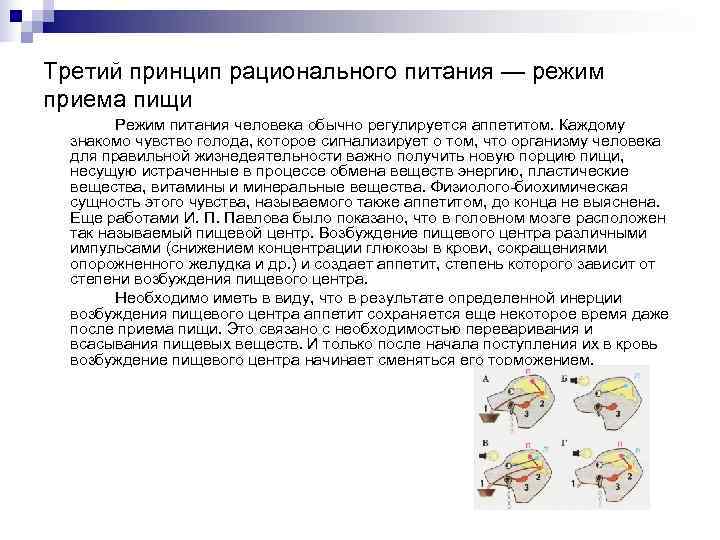 Третий принцип рационального питания — режим приема пищи Режим питания человека обычно Третий принцип рационального питания — режим приема пищи Режим питания человека обычно