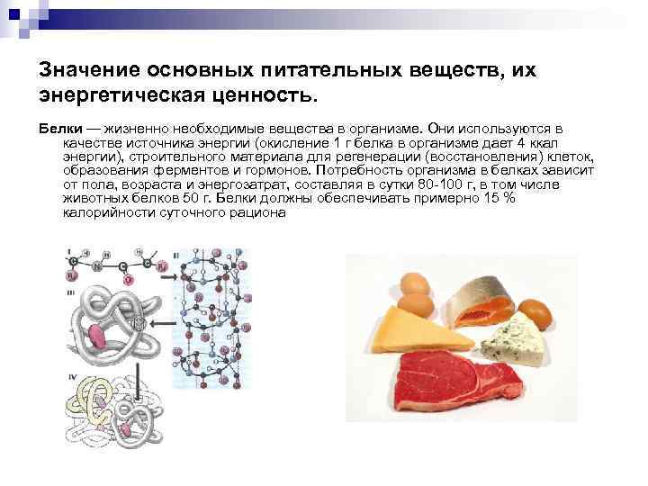 Питательные вещества белков. Значение белков как питательных веществ. Роль белков как питательных веществ. Запас питательных веществ в организме человека. Основная роль белков как питательных веществ.