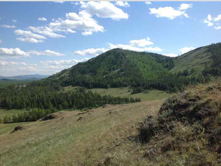     Фрагмент Госгеолкарты-200   Южного Урала (по Б. Н. 