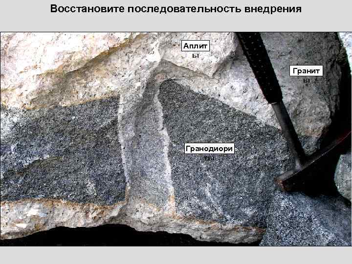 Восстановите последовательность внедрения    Аплит    ы   