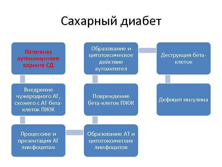    Сахарный диабет    Образование и Патогенез   