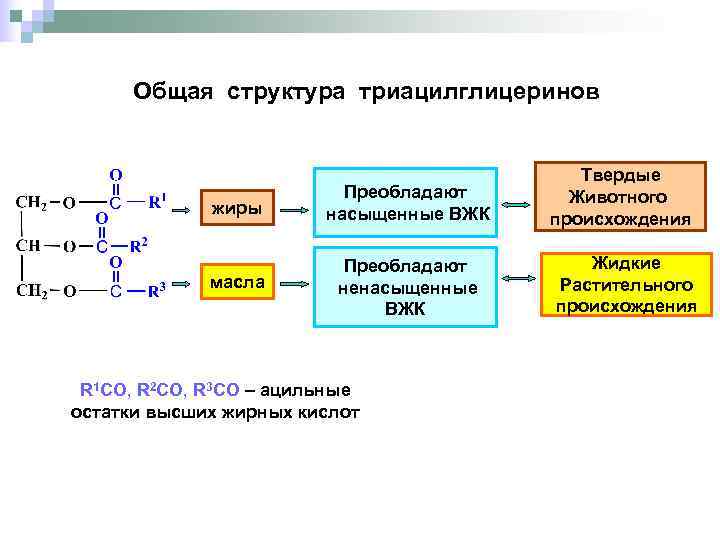 Схема образования триацилглицерина - 97 фото