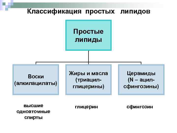   Классификация простых липидов    Простые    липиды 