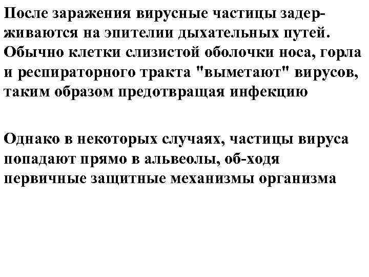 После заражения вирусные частицы задер- живаются на эпителии дыхательных путей. Обычно клетки слизистой оболочки После заражения вирусные частицы задер- живаются на эпителии дыхательных путей. Обычно клетки слизистой оболочки