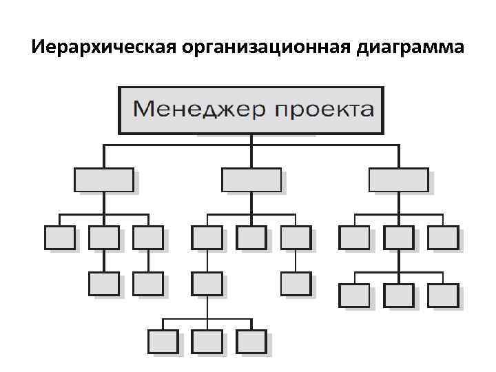 Организационная диаграмма проекта