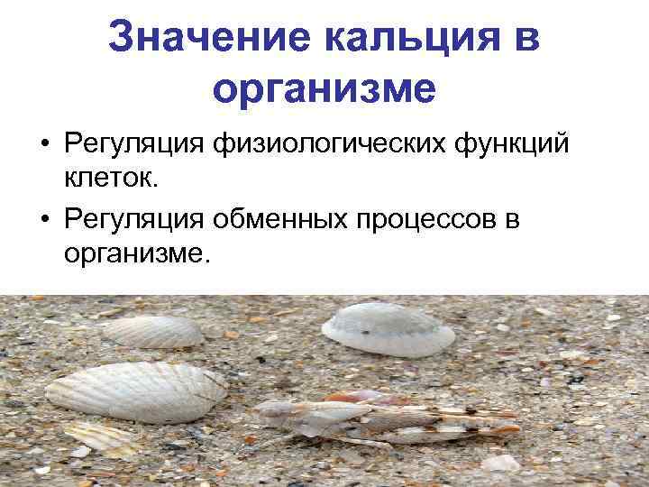   Значение кальция в   организме • Регуляция физиологических функций  клеток.