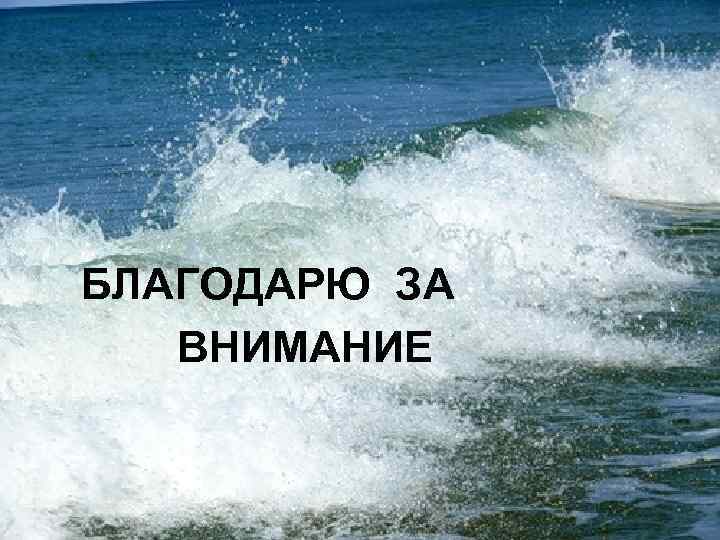 БЛАГОДАРЮ ЗА  ВНИМАНИЕ 