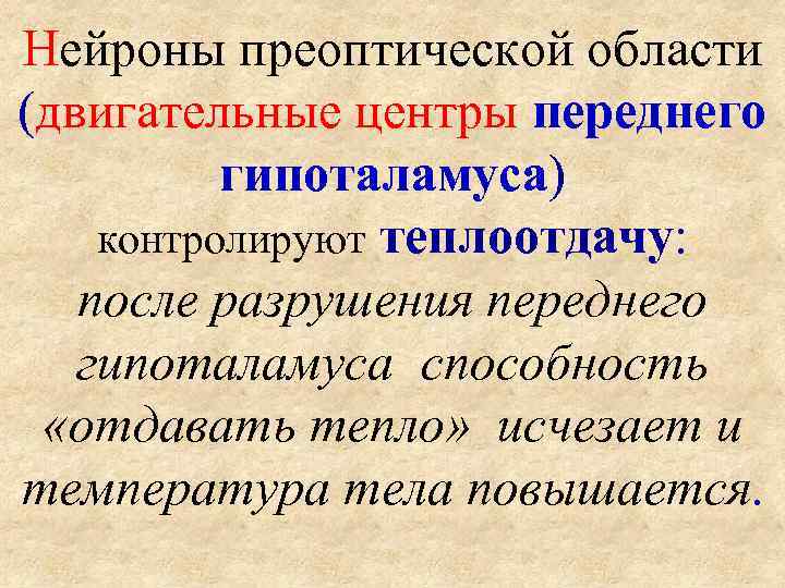 Нейроны преоптической области (двигательные центры переднего  гипоталамуса) контролируют теплоотдачу: после разрушения переднего гипоталамуса