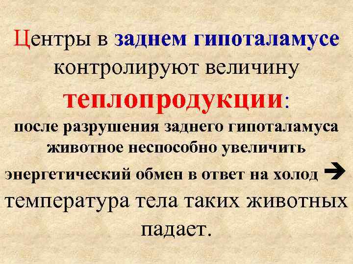 Центры в заднем гипоталамусе  контролируют величину  теплопродукции:  после разрушения заднего гипоталамуса