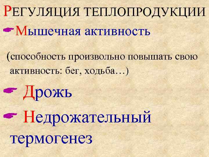 РЕГУЛЯЦИЯ ТЕПЛОПРОДУКЦИИ Мышечная активность (способность произвольно повышать свою  активность: бег, ходьба…)  Дрожь