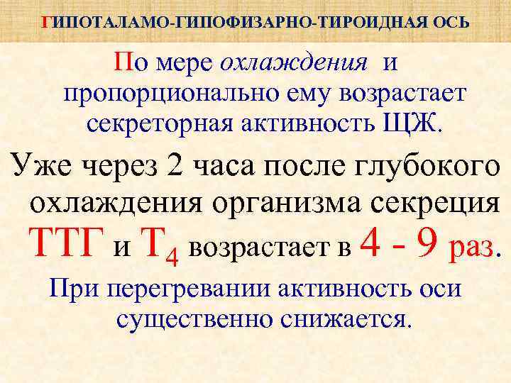  ГИПОТАЛАМО-ГИПОФИЗАРНО-ТИРОИДНАЯ ОСЬ   По мере охлаждения и пропорционально ему возрастает  секреторная