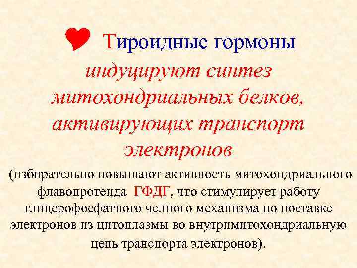    Тироидные гормоны  индуцируют синтез   митохондриальных белков,  