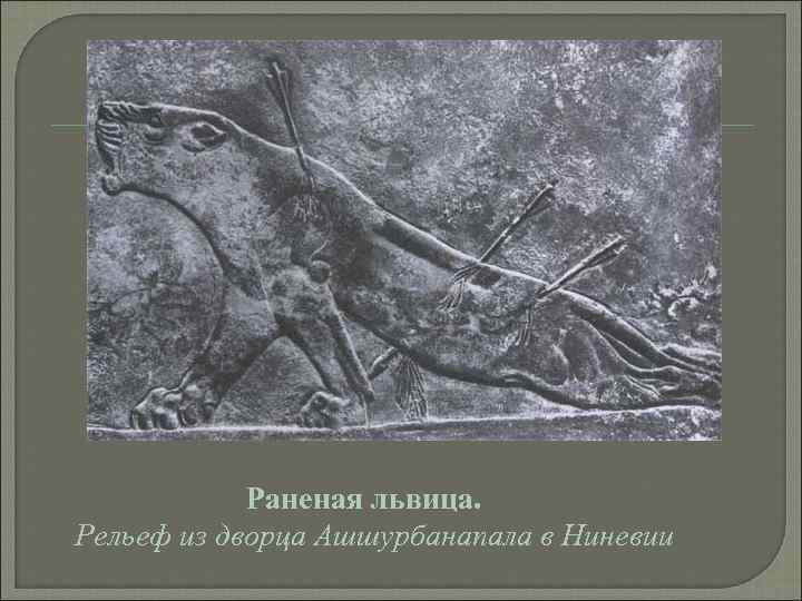   Раненая львица. Рельеф из дворца Ашшурбанапала в Ниневии 