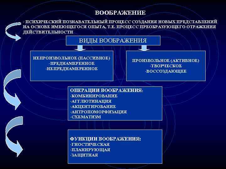 Заполните схемы восприятие объективное память представление память воображение