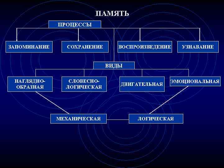 Презентация на тему мышление и воображение