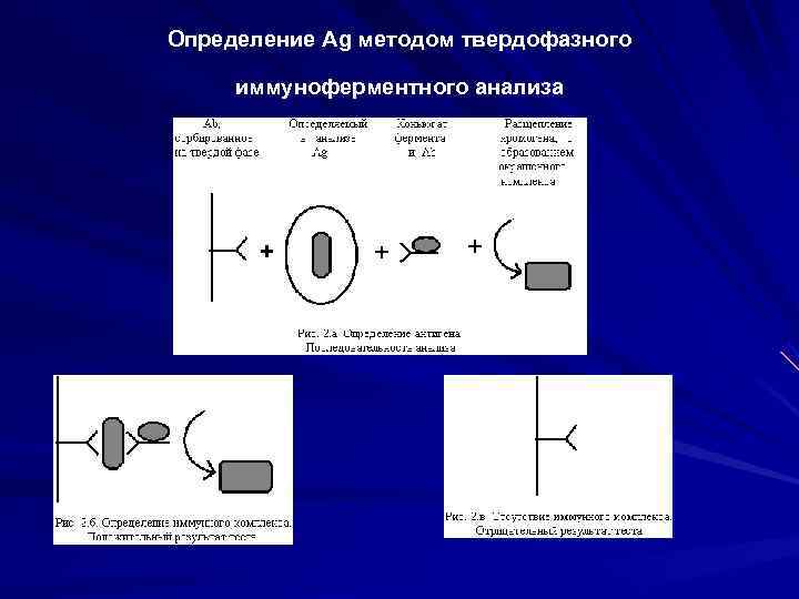 Принцип исследования твердофазный иммуноферментный анализ в 96 луночном планшете