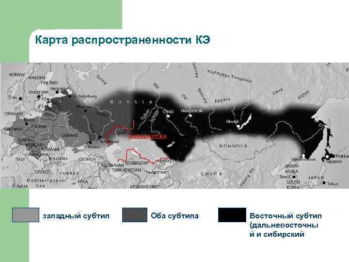 Карта распространенности КЭ западный субтип  Оба субтипа  Восточный субтип   