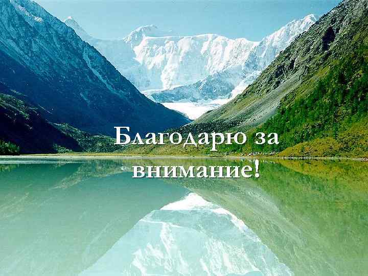 Благодарю за внимание! 