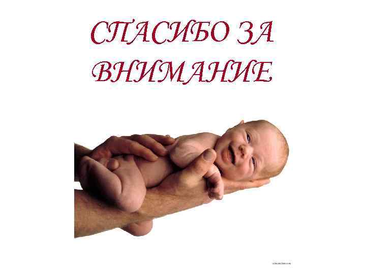 СПАСИБО ЗА ВНИМАНИЕ СПАСИБО ЗА ВНИМАНИЕ